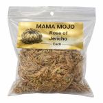 Mama Mojo - Rose of Jericho, Each, (Pack of 4)